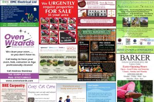 Live Local Business Directory