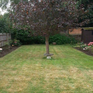Garden Tidy Up Irchester Garden Tidy Up Irchester